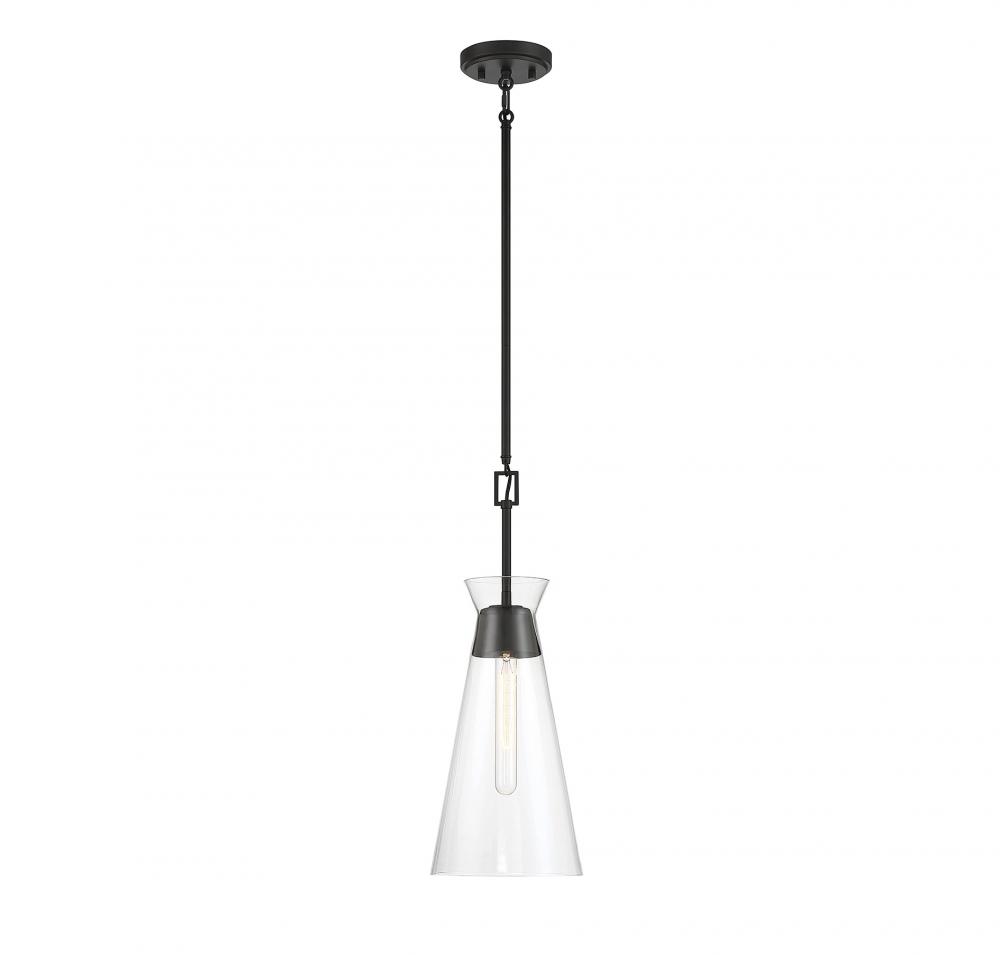 Lakewood 1-Light Pendant in Matte Black